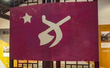 大学生党员年度总结8篇