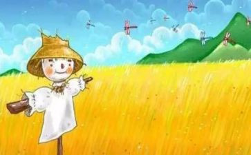稻草人合集读后感5篇