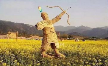 《稻草人读后感精选5篇