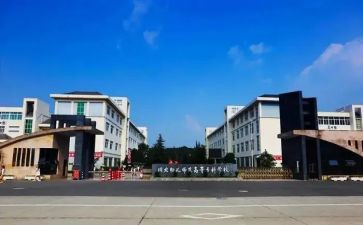 大专新生军训心得7篇
