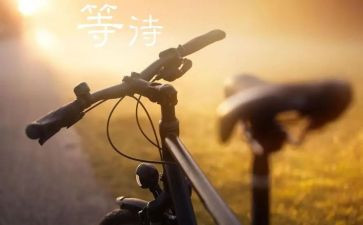等待的美作文8篇