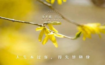 得与失工作报告7篇