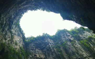 种养殖用地申请书5篇