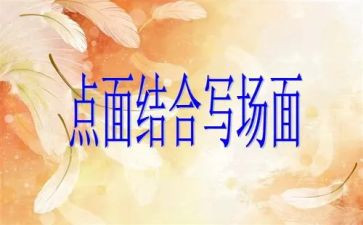 918点面结合作文7篇