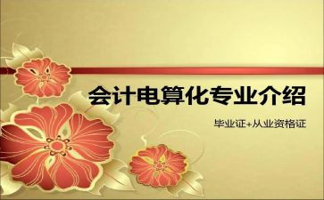 会计电算化总结报告5篇