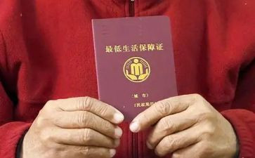 低保工作年度个人总结6篇