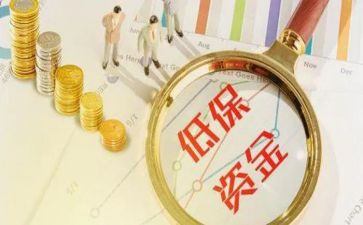 2024低保工作总结精选7篇
