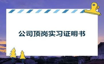 测绘系顶岗实习报告6篇