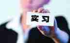 大学生顶岗月总结8篇