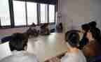 土木顶岗实习报告8篇