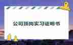 大学生顶岗月总结优质8篇