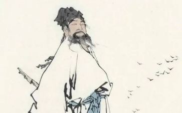 书东坡传读后感6篇