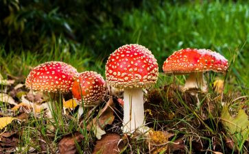 禁学校毒宣传活动总结最新5篇