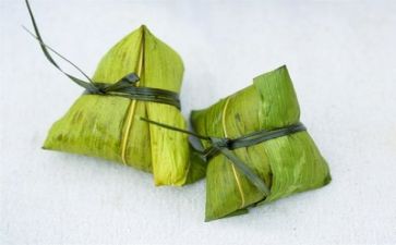端午节包粽子心得8篇