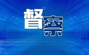 大督查心得体会8篇