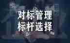 英语对标学习心得体会5篇
