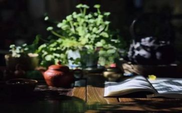 该读书心得体会5篇