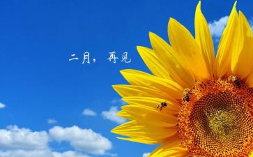 大班二月份月总结6篇