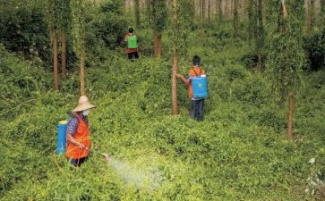 职业病防治宣传工作总结7篇