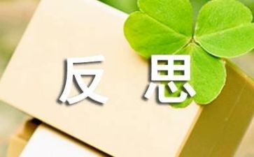活动的总结反思优质5篇
