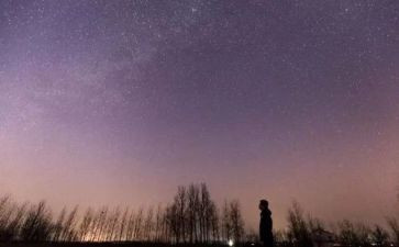 读繁星诗读后感参考5篇