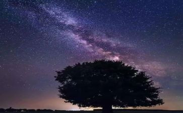 《繁星》一六读后感参考6篇