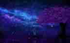繁星一三四读后感5篇