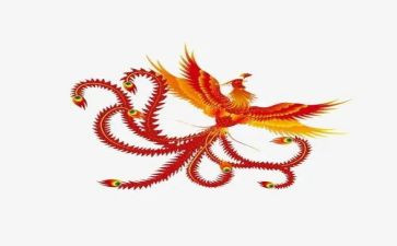 凤凰作文5篇