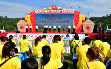 中国丰收节活动方案8篇