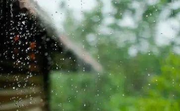 面对风雨的作文5篇