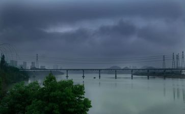 <风雨>读后感7篇