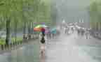 哈佛风雨读后感5篇