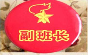 2023副班长年终总结7篇