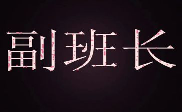 2023年副班长年终总结通用8篇