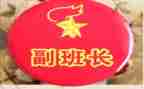 2023副班长年终总结7篇