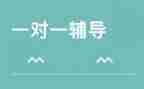 女辅导员工作计划5篇