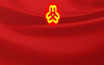 村妇联工作总结范文精选6篇