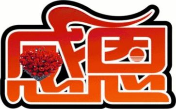 感恩的心主题活动总结精选8篇