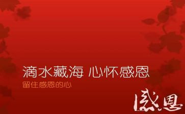感恩亲情作文6篇