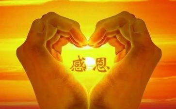 感恩作文800字精选5篇