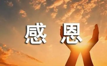 感恩的心主题活动总结优质6篇