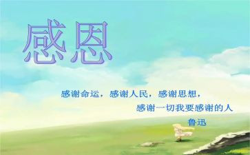 感恩心得体会800字8篇
