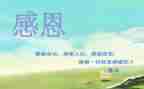 感恩的600字作文精选6篇