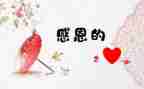 《感激》700作文参考8篇