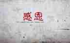 感谢老师的作文600字6篇