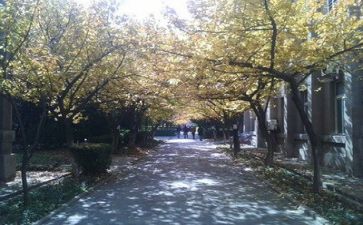 高校教师的培训心得体会5篇