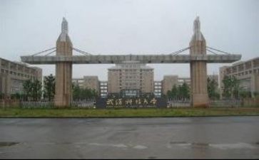 高校教师半年度总结7篇