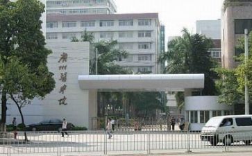 高校述职报告优秀5篇