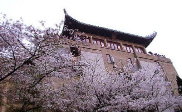 高校教师培训的心得最新7篇
