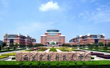 高校教师培训心得最新8篇